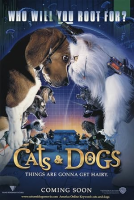 Cats___Dogs