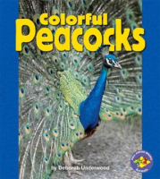 Colorful_peacocks